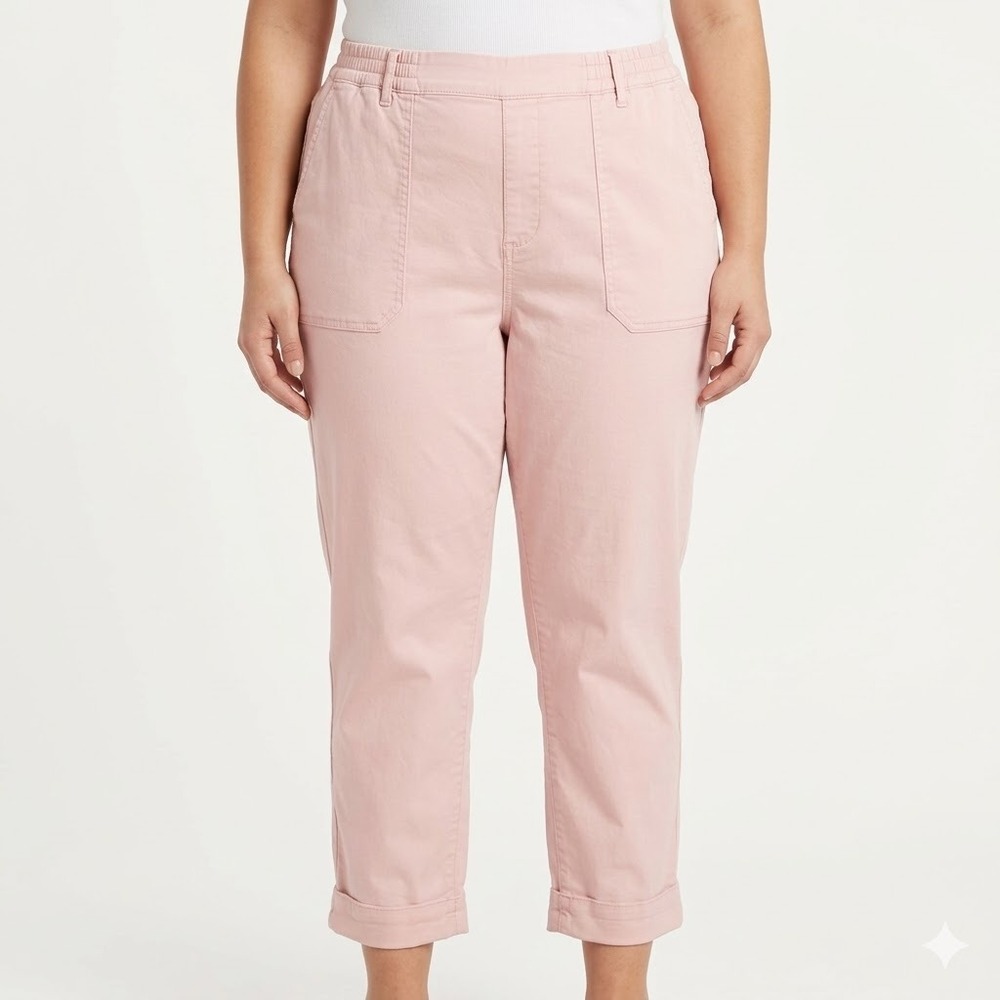 Pistola soft Lyocell blend casual pull-on pants, light pink, size 18W